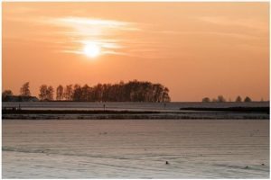 imgi_5_VDM_7-01-300x200